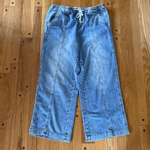 OAT Cloud Luxe Denim Pull On Jeans Womens 10 Blue Cropped Wide Leg Elastic Waist